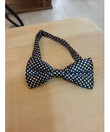 ドットの蝶ネクタイ～(その他小物)