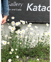 MILLER | タンクトップ