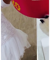 petit main | トップス