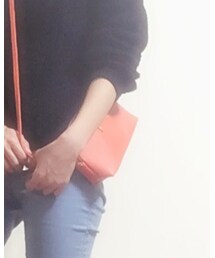 otonaMUSE付録 | バッグ