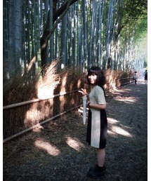 ❀ | 嵐山(その他)