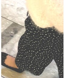 Birthday | パンツ