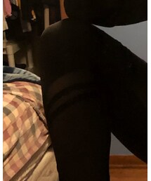 Crush | レギンス/スパッツ