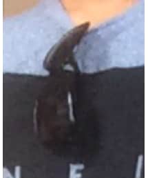 UNIQLO | サングラス