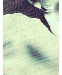 愛迪達 | スニーカー