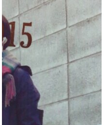 FREDY&GLOSTER | カシミアチェック(ストール/ショール)