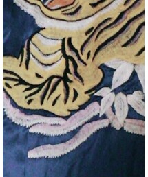 不明 | スタジャン