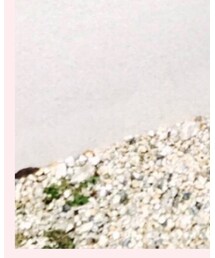 UNIQLO | スウェット