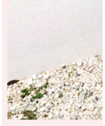 UNIQLO | デニムパンツ