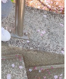 PUMA | スニーカー