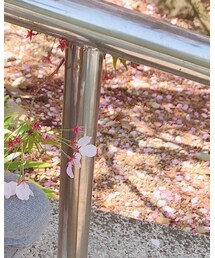 HYSTERIC MINI | バッグ