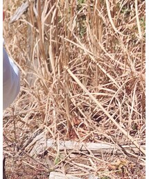 ZARA KIDS | デニムスカート