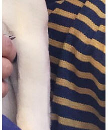 UNITED ARROWS | チュニック