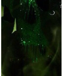 Keener Studio | トップス