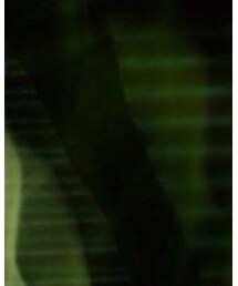 charlotte russe | レギンス/スパッツ