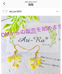 ari_ru. | ピアス（両耳用）