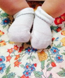 TOCCA | ソックス(ソックス/靴下)