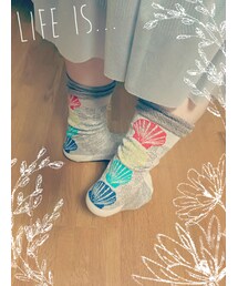 3足1000円 | 貝柄ソックス(ソックス/靴下)