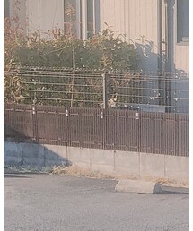 Bershka | Tシャツ/カットソー