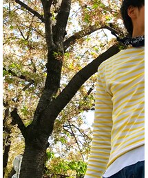 SAINT JAMES | Tシャツ/カットソー