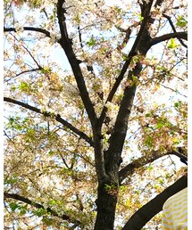 Ron Herman | ファッション雑貨