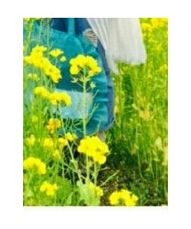 I am I ONEROOM | トートバッグ