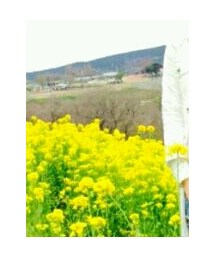 no brand | デニムパンツ