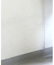 PELLICO | パンプス