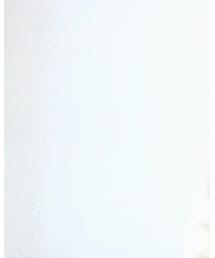 NE QUITTEZ PAS! | トップス