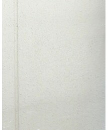 PELLICO | パンプス