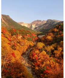 紅葉見頃の十勝岳🍁 | その他