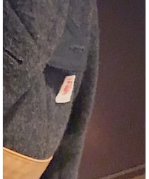 DANTON | ダウンジャケット/コート