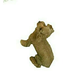 モコちゃん | モコちゃん (トイプードル)(その他)