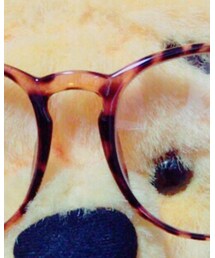 雑貨屋さん | メガネ