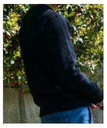 Champion | スウェット