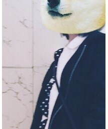 COMME des GARCONS | シャツ/ブラウス