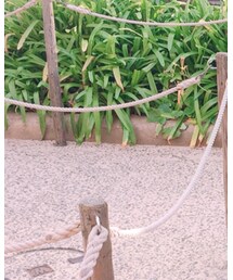 BURBERRY | ショルダーバッグ