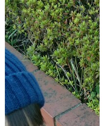 しまむら | 帽子