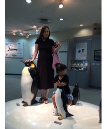 ペンギンに夢中1 | その他