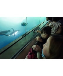 ペンギンに夢中2 | その他