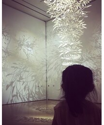 🕊 | その他