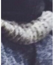 rare | ニット/セーター