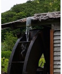 Ayame | サングラス