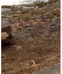 ZARA KIDS | デニムパンツ