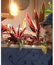 40'ヴィンテージ | メガネ