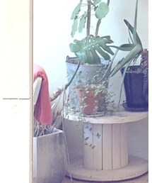 adidas | スニーカー