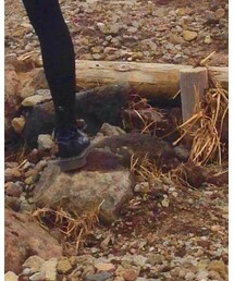 Dr. Martens | ブーツ