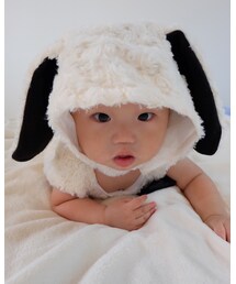 昨年の兄 | その他