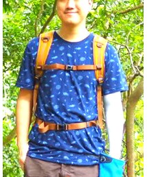 Hollister | Tシャツ/カットソー