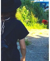 Dr. Martens | Tシャツ/カットソー